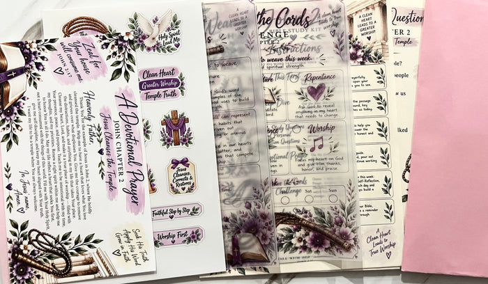 John 2 The Whip of Cords Deep Dive Bible study Kit